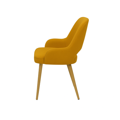 Scaun catifea BEJ | model HUGO